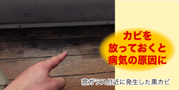 カビを放っておくと病気の原因に