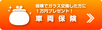 �ԗ��ی�