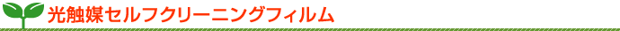 �G�R�f�M�t�B����